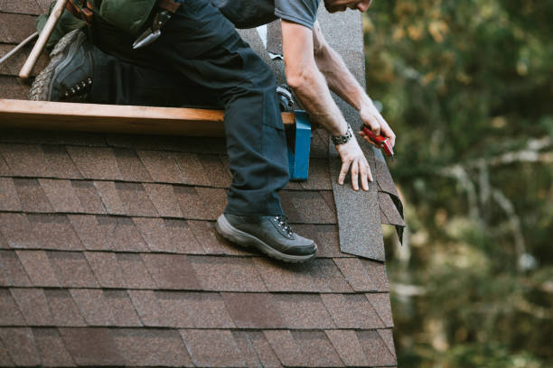 Best Metal Roofing Contractor  in Berryville, TX